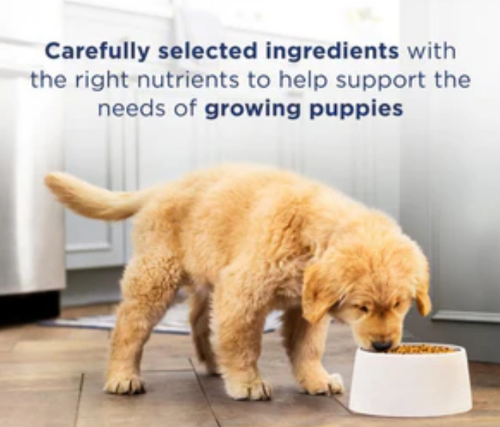Natural Balance L.I.D. Limited Ingredient Diets Salmon & Brown Rice Puppy Food image 3