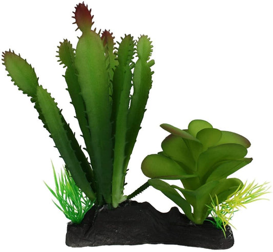 Komodo Succulent and Cactus Habitat Ornament image 0
