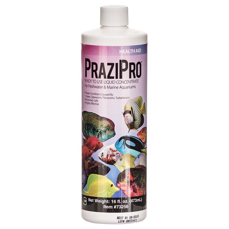 Hikari Aquarium Solutions PraziPro image 0