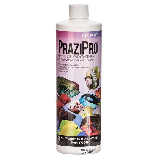 Hikari Aquarium Solutions PraziPro image 0