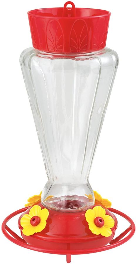 More Birds Royal Glass Hummingbird Feeder image 0