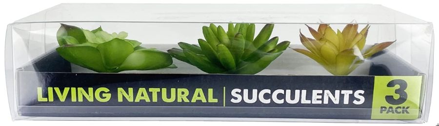 Komodo Succulent Plant Habitat Ornaments image 0