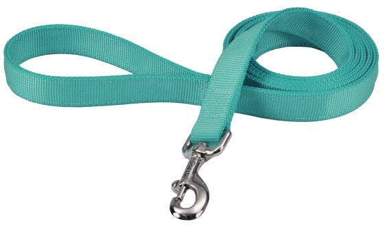 Coastal Pet Double-ply Nylon Dog Lead Teal image 0