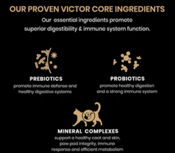 Victor Grain Free Healthy Skin & Coat Indoor Cat Dry Cat Food image 1