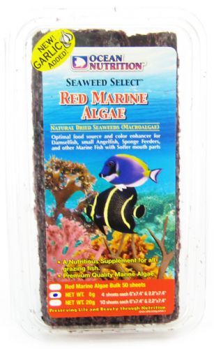 Ocean Nutrition Red Marine Algae image 0