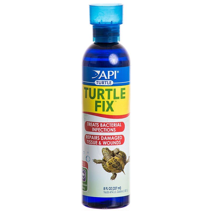 API Turtle Fix image 0