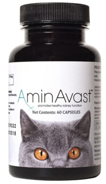 AminAvast Kidney Support for Cats (60 capsules) image 0