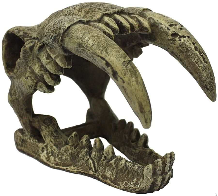 Komodo Saber Tooth Skull Terrarium Decoration image 0