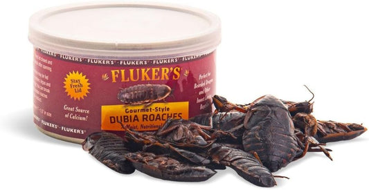 Flukers Gourmet Canned Dubia Roaches for Reptiles image 0
