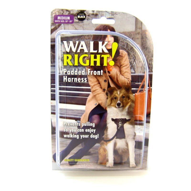 Coastal Pet Walk Right Padded Harness - Black image 0