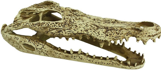 Komodo Alligator Skull Terrarium Decoration image 0