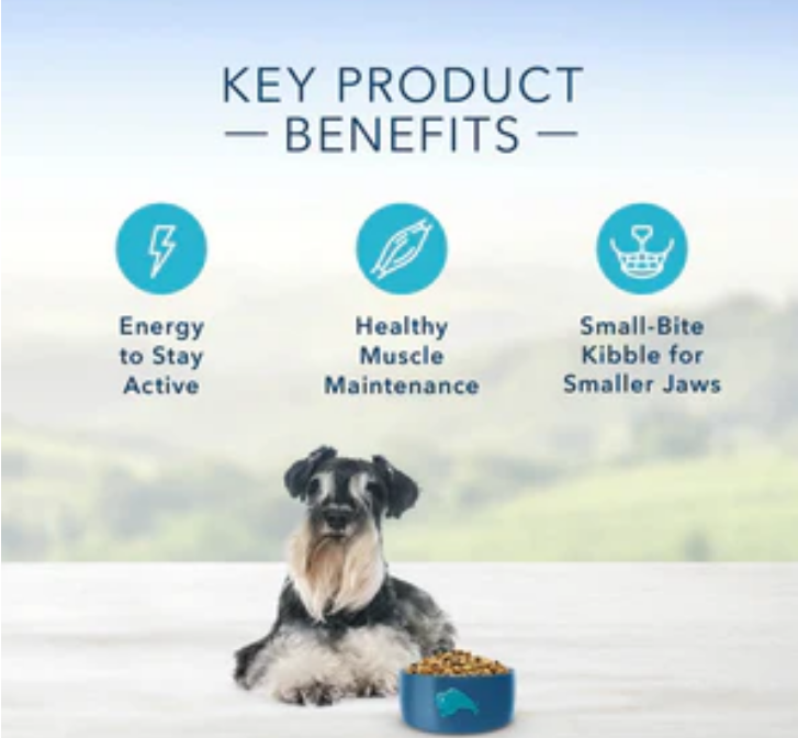 Blue Buffalo Life Protection Natural Chicken & Brown Rice Small Breed Senior Dog image 1