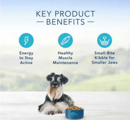 Blue Buffalo Life Protection Natural Chicken & Brown Rice Small Breed Senior Dog image 1