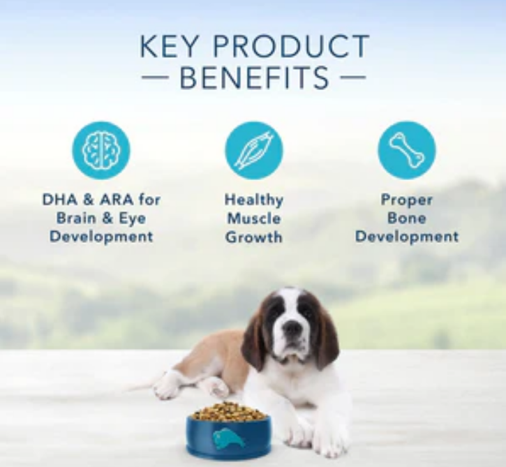 Blue Buffalo Life Protection Natural Chicken & Brown Rice Large Breed Puppy 30lb image 1