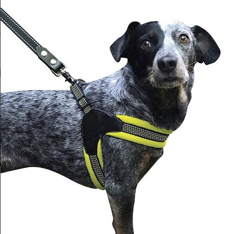 Sporn Easy Fit Dog Harness Yellow - Medium image 0