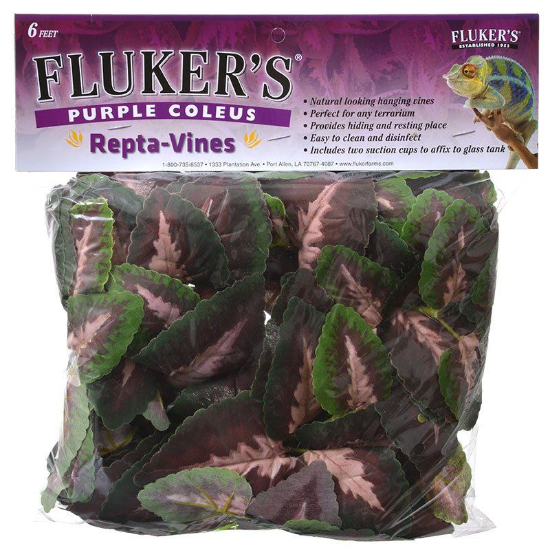 Flukers Purple Coleus Repta-Vines image 0