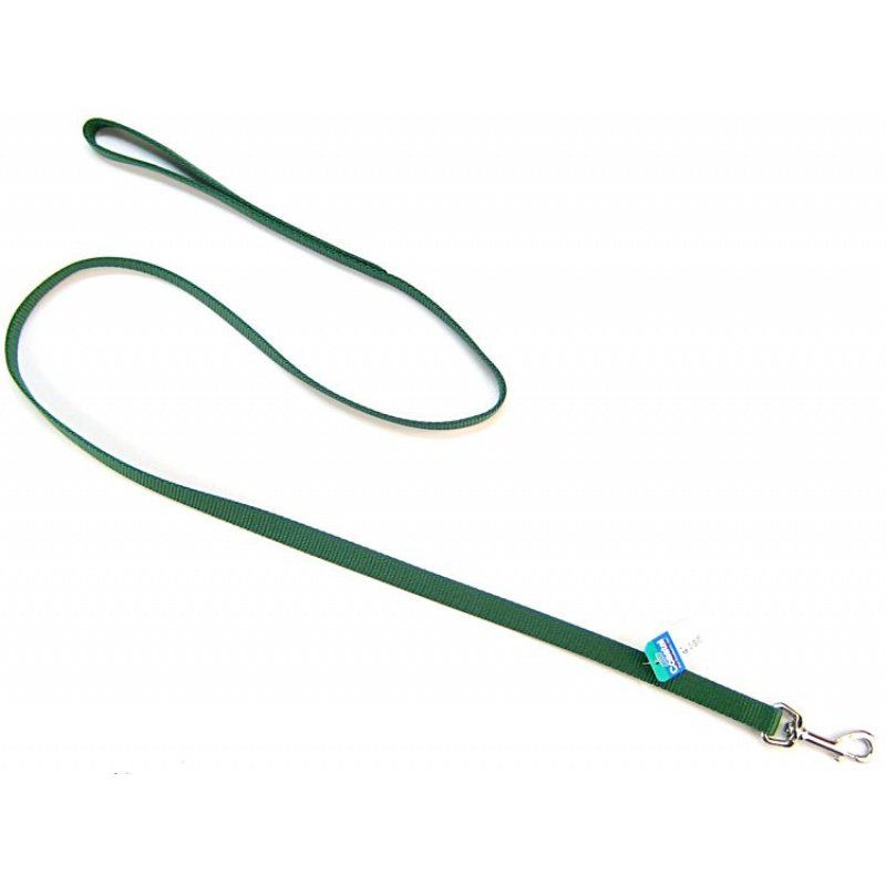 Coastal Pet Nylon Lead Hunter Green image 0