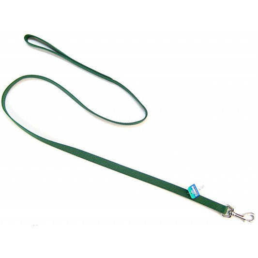 Coastal Pet Nylon Lead Hunter Green image 0