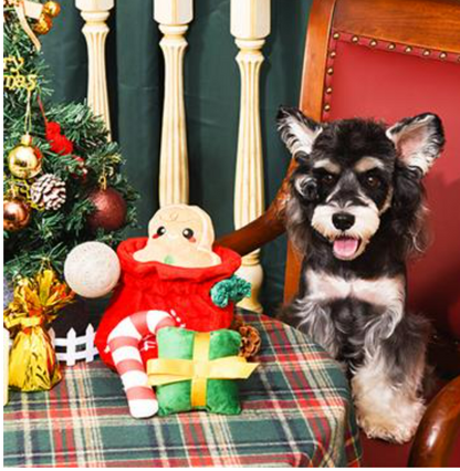 Happy Woofmas — Christmas Gift Bag image 1
