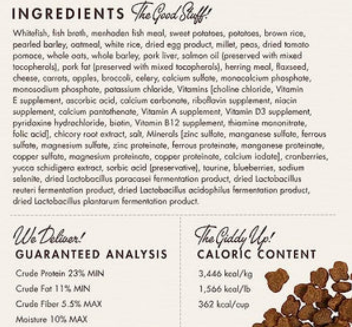 FROMM Four-Star Nutritionals Salmon A La Veg Dry Dog Food image 1
