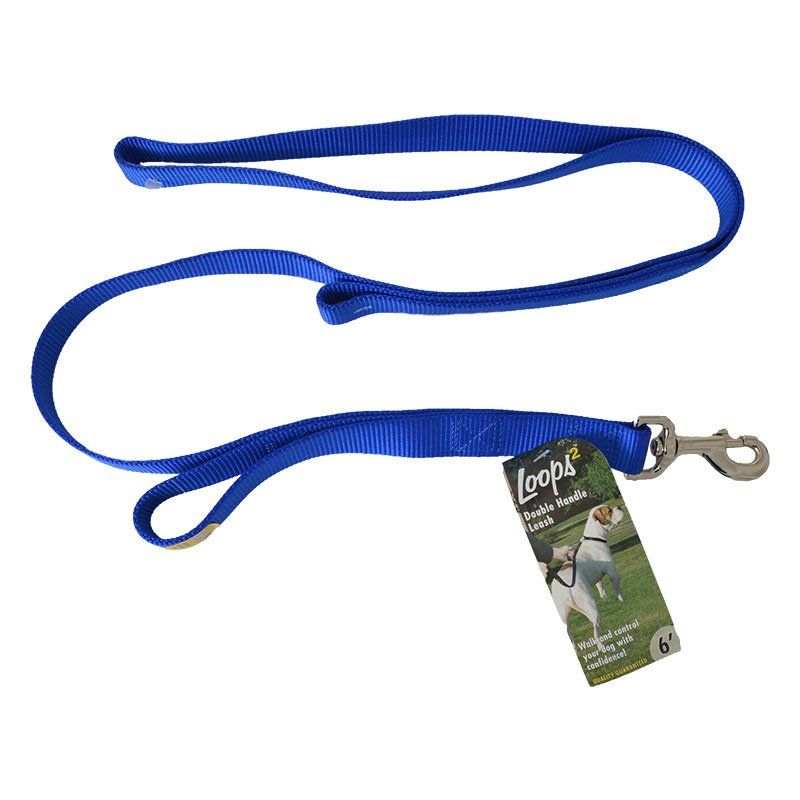 Loops 2 Double Nylon Handle Leash - Blue image 0