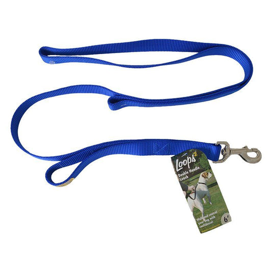 Loops 2 Double Nylon Handle Leash - Blue image 0