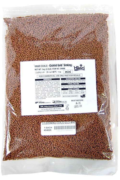 Hikari Cichlid Gold Color Enhancing Sinking Fish Food - Mini Pellet image 0