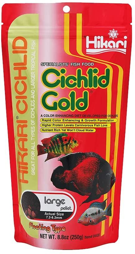 Hikari Cichlid Gold Color Enhancing Fish Food - Large Pellet image 0