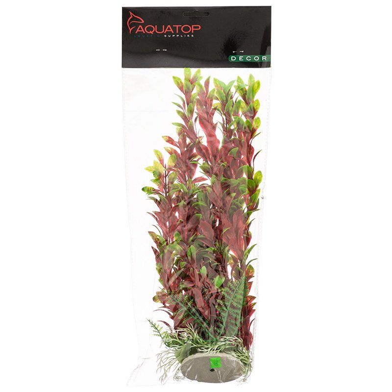 Aquatop Hygro Aquarium Plant - Red & Green image 0