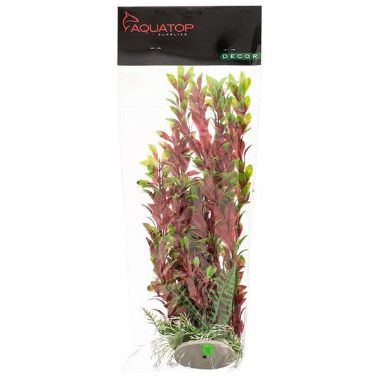 Aquatop Hygro Aquarium Plant - Red & Green image 0