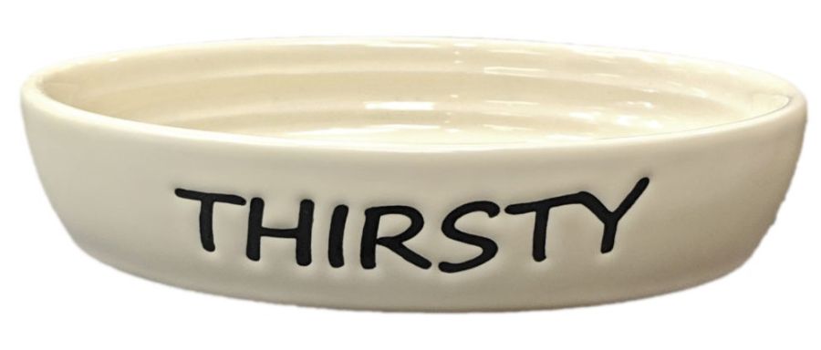 Spot Oval Thirsty Cat dish 6" image 0