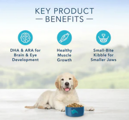 Blue Buffalo Life Protection Natural Chicken & Brown Rice Recipe Dry Puppy Food image 1