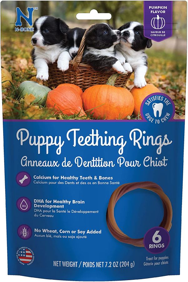 N-Bone Puppy Teething Ring - Pumpkin Flavor image 0