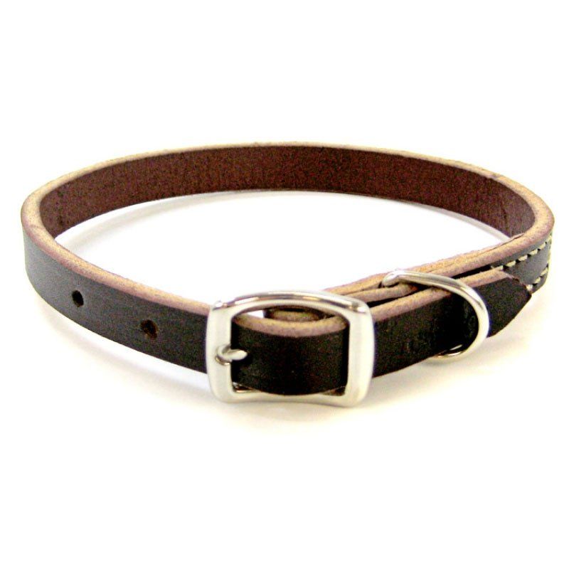 Circle T Latigo Leather Town Collar image 0