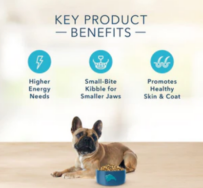 Blue Buffalo Freedom Grain Free Chicken Recipe Small Breed Adult Dry Dog Food image 1