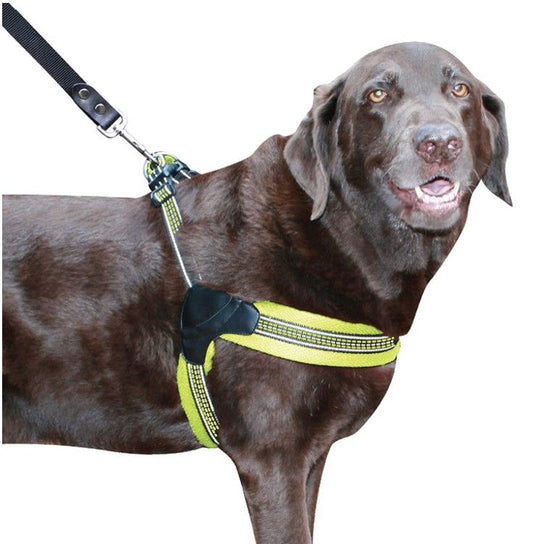 Sporn Easy Fit Dog Harness Yellow - X-Large image 0