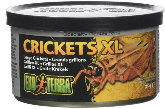 Exo Terra Canned Crickets XL Specialty Reptile Food image 0