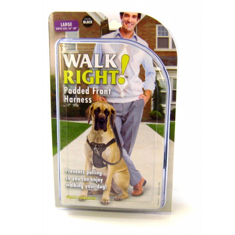 Coastal Pet Walk Right Padded Harness Black image 0