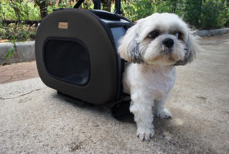 Pet Life® 'Final Destination' 2-in-1 Tough-Shell Wheeled Collapsible Pet Carrier image 5