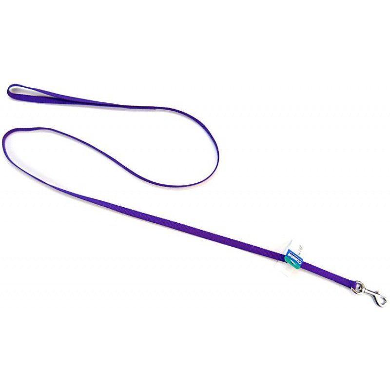 Coastal Pet Nylon Lead Purple image 0