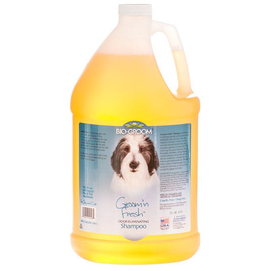 Bio Groom Groom N Fresh Shampoo image 0