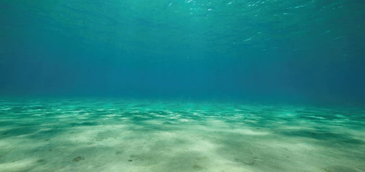 Aquatic Creations Ocean Floor Cling Aquarium Background image 0