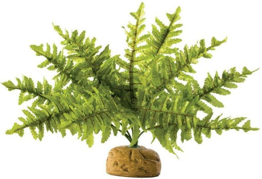 Exo Terra Boston Fern Terrarium Plant image 0