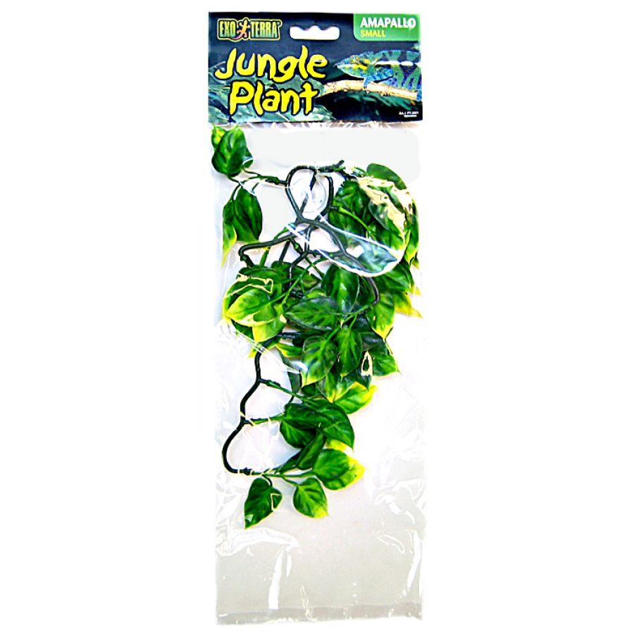 Exo-Terra Amapallo Forest Shrub image 0