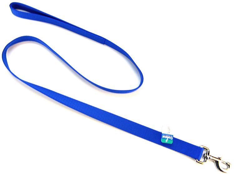 Coastal Pet Single Nylon Lead - Blue image 0