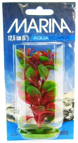 Marina Red Ludwigia Plant image 0