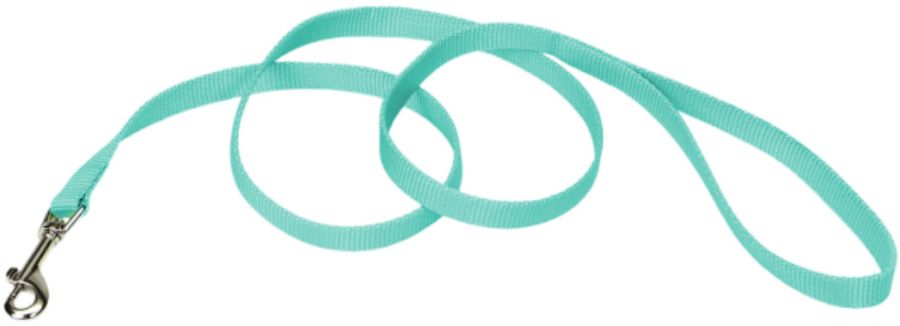 Coastal Pet Single-ply Teal Nylon Dog Lead image 0