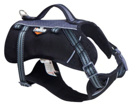 Dog Helios Freestyle 3-in-1 Explorer Sporty Convertible Waterproof Dog Backpack image 1
