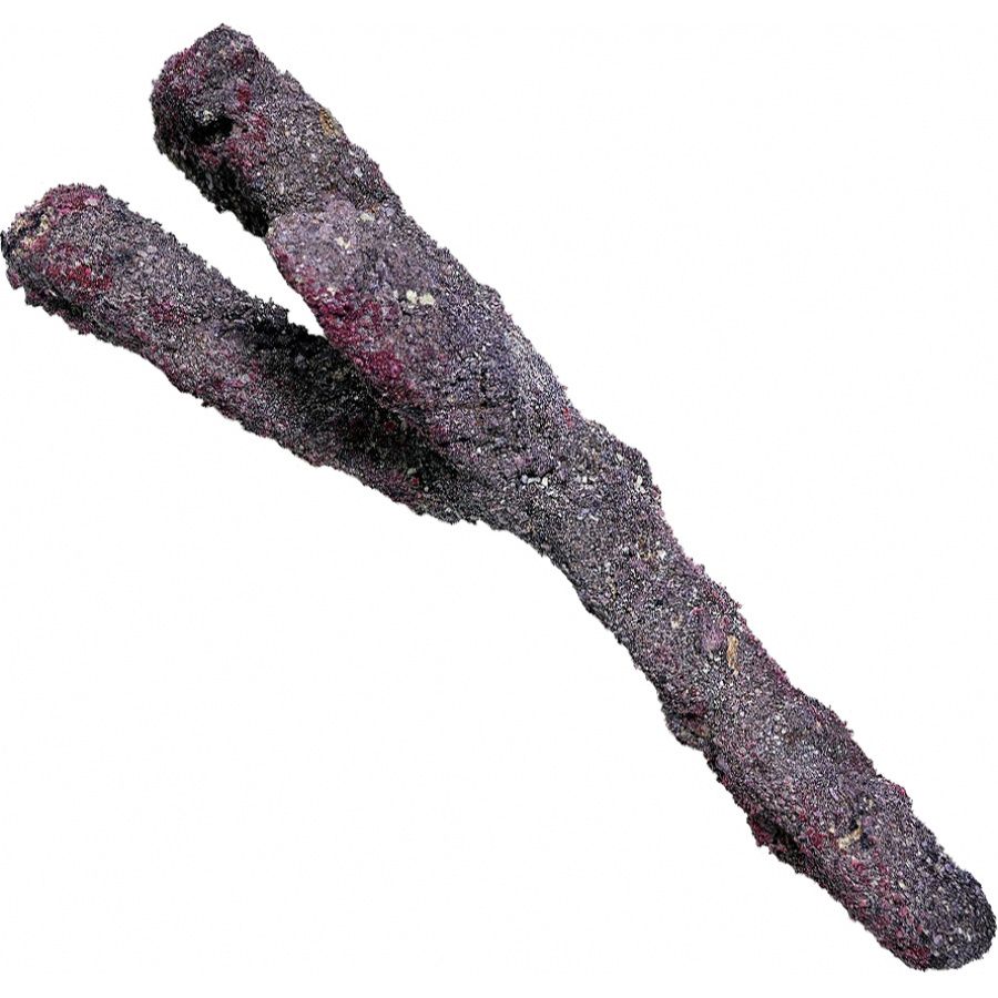 Caribsea Life Rock Branch for Aquariums image 0