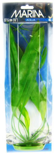 Marina Amazon Sword Plant image 0